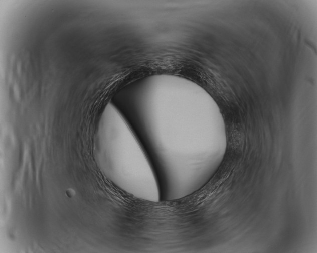 X0000097511297200802220855