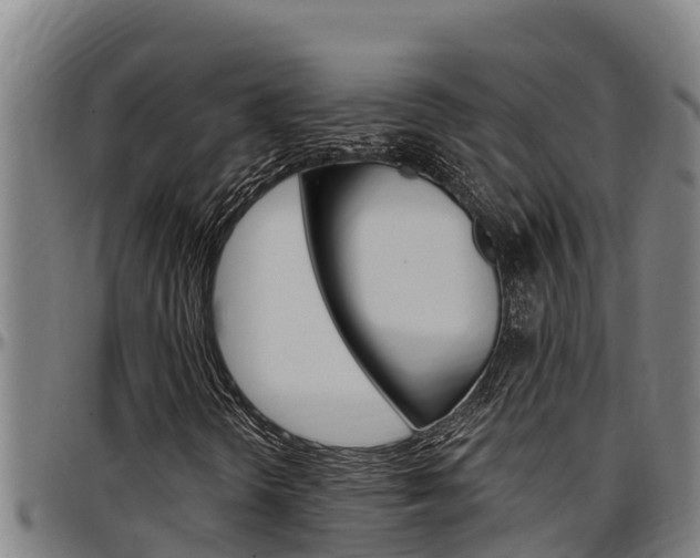 X0000097511298200802220855