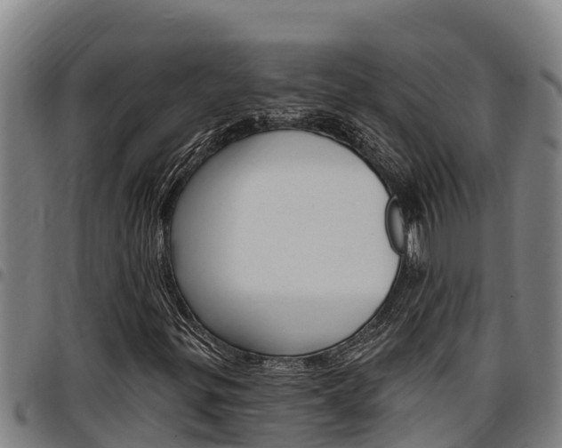 X0000097511299200802220855