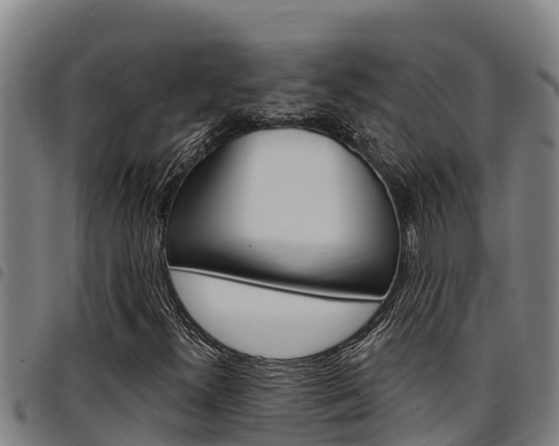 X0000097511300200802220855
