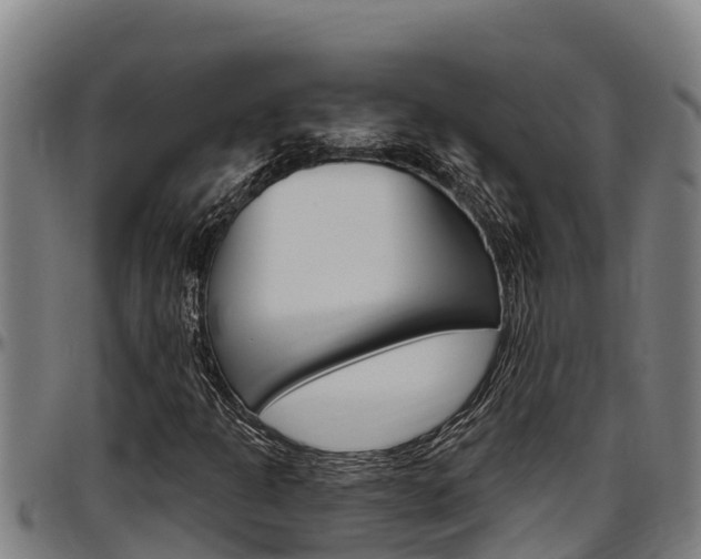X0000097511301200802220855
