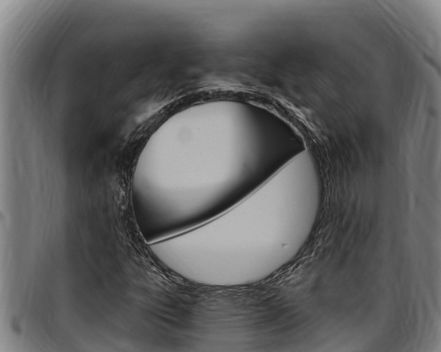 X0000097511303200802220856