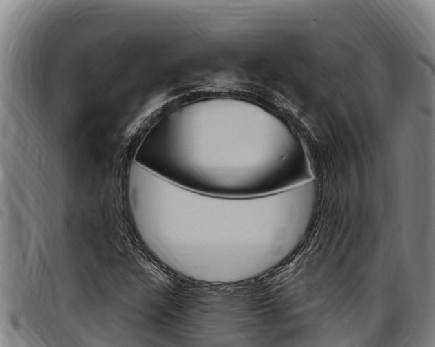 X0000097511304200802220856