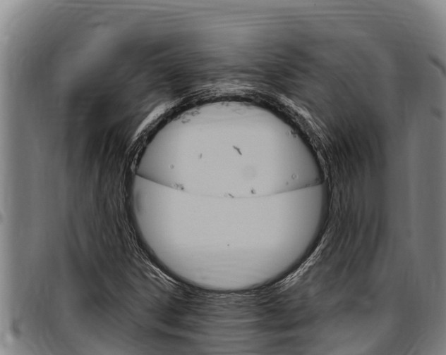 X0000097511306200802220856