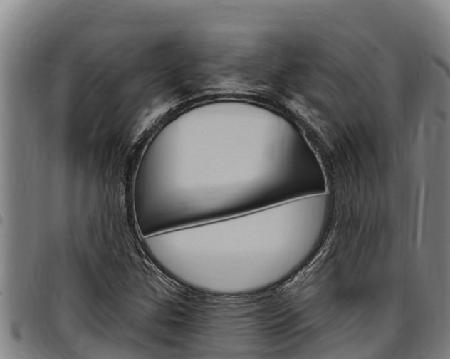 X0000097511307200802220856