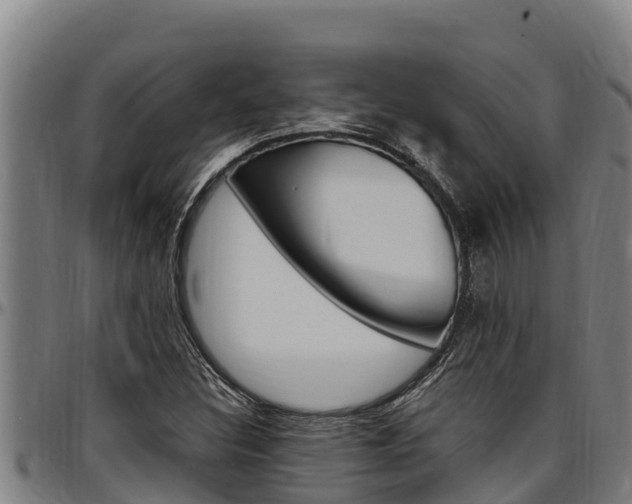 X0000097511308200802220856