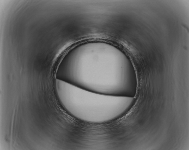 X0000097511310200802220856