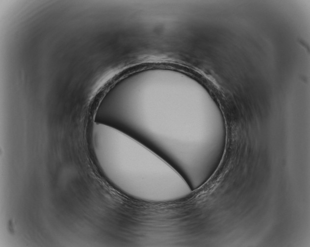 X0000097511311200802220856