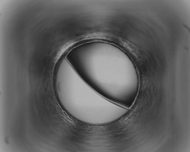 X0000097511312200802220856