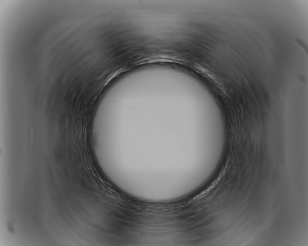 X0000097511313200802220856