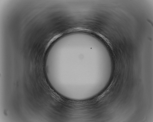 X0000097511314200802220856