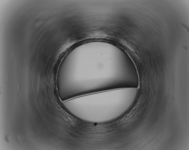 X0000097511315200802220856