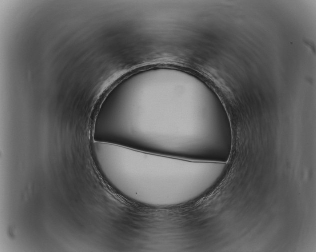 X0000097511316200802220856