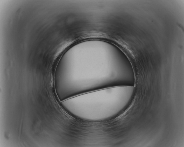 X0000097511317200802220856
