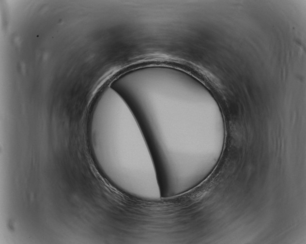 X0000097511318200802220856