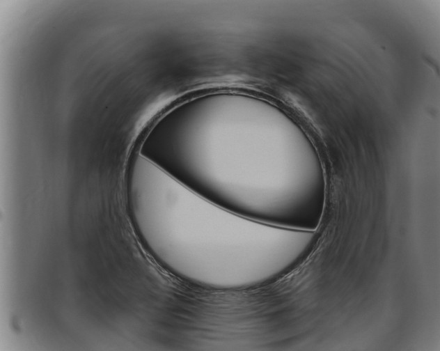 X0000097511320200802220856