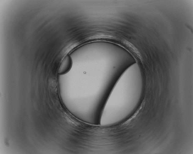 X0000097511321200802220856