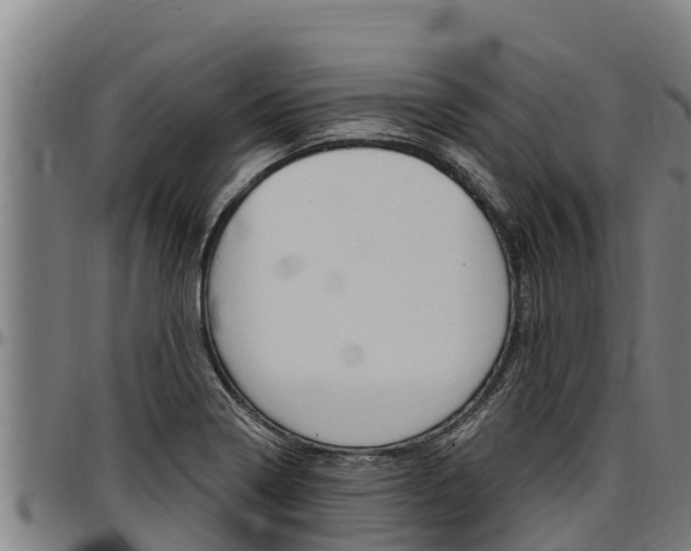 X0000097511322200802220856