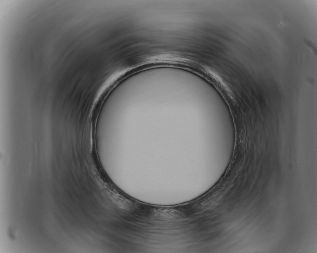 X0000097511323200802220856