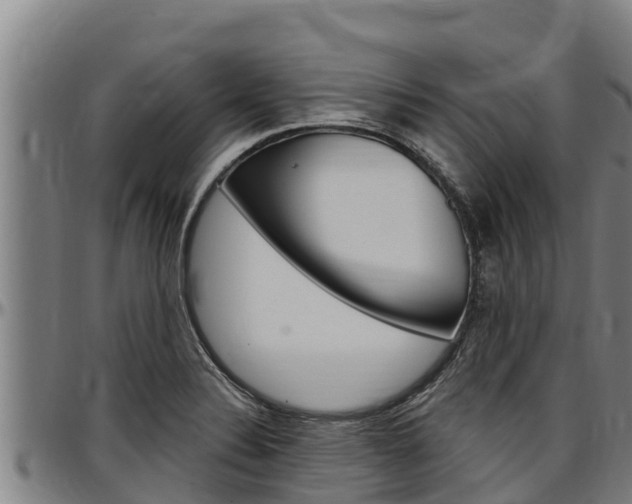 X0000097511324200802220856