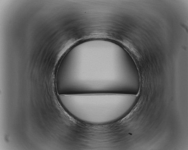 X0000097511325200802220856