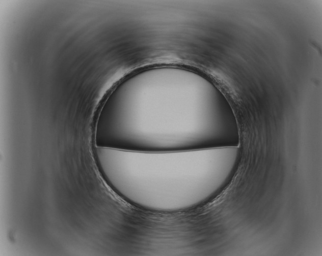X0000097511326200802220856