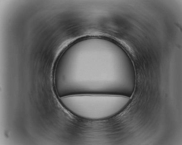 X0000097511327200802220856