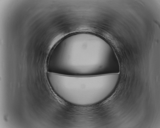 X0000097511328200802220856