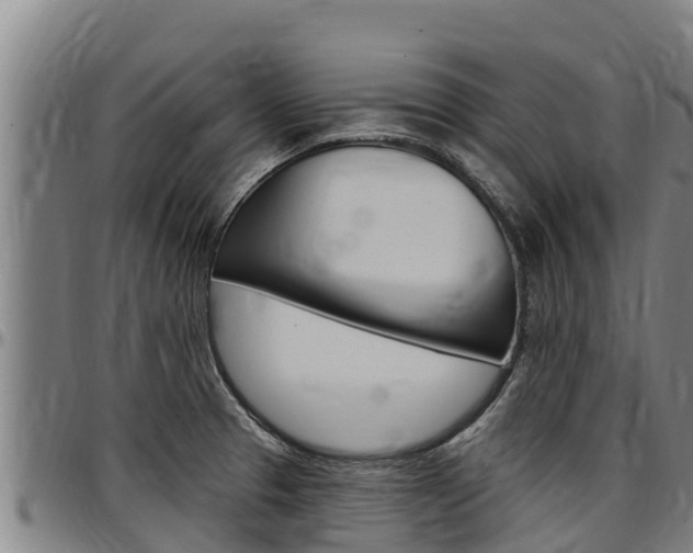 X0000097511329200802220856