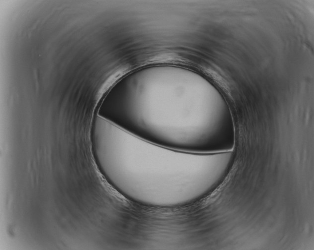X0000097511330200802220856