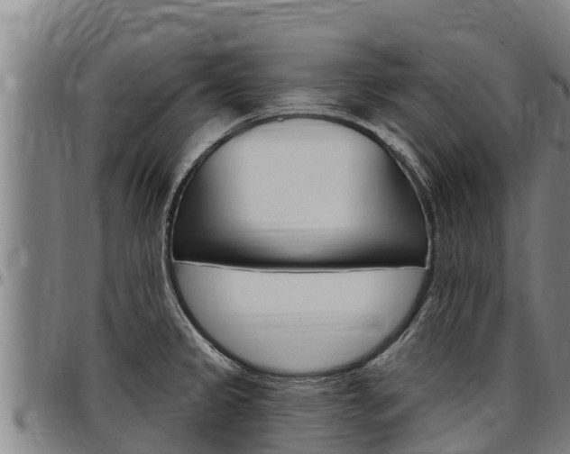 X0000097511333200802220856