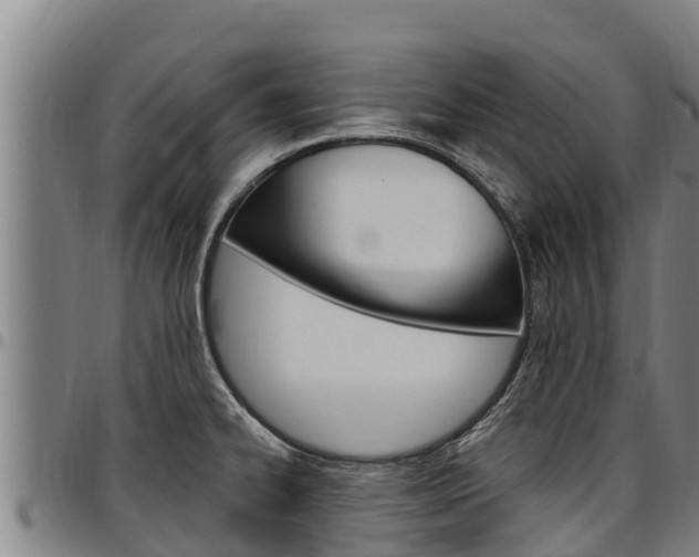 X0000097511334200802220856