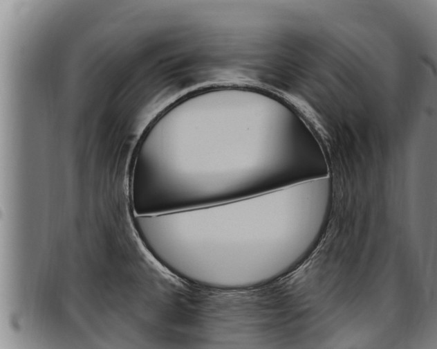 X0000097511335200802220856