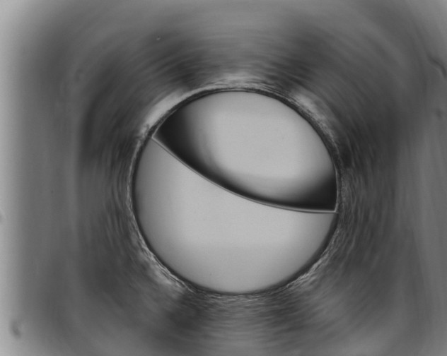X0000097511336200802220856