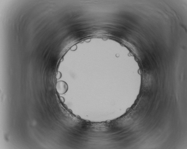 X0000097511338200802220856