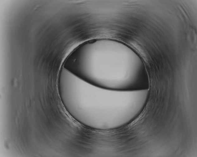 X0000097511340200802220856