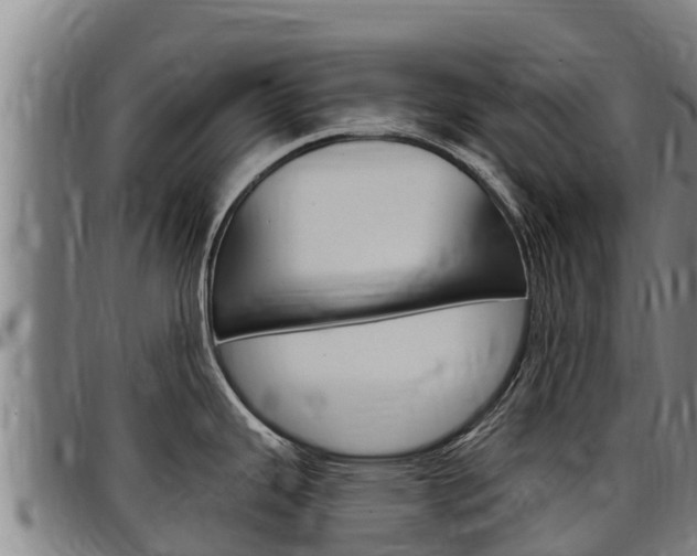X0000097511343200802220856