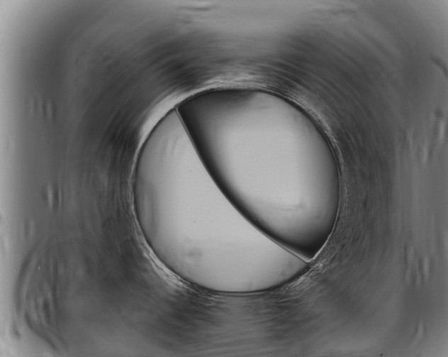 X0000097511344200802220856
