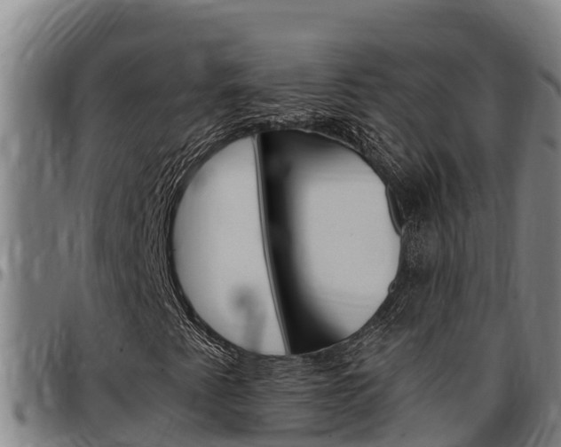 X0000097511345200802220855