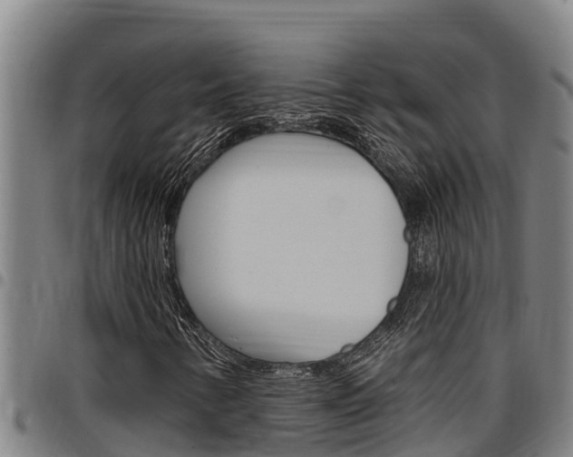 X0000097511346200802220855