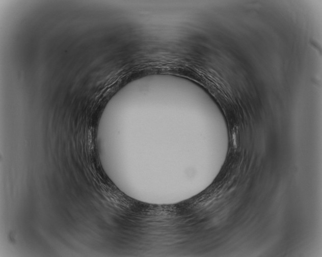 X0000097511347200802220855