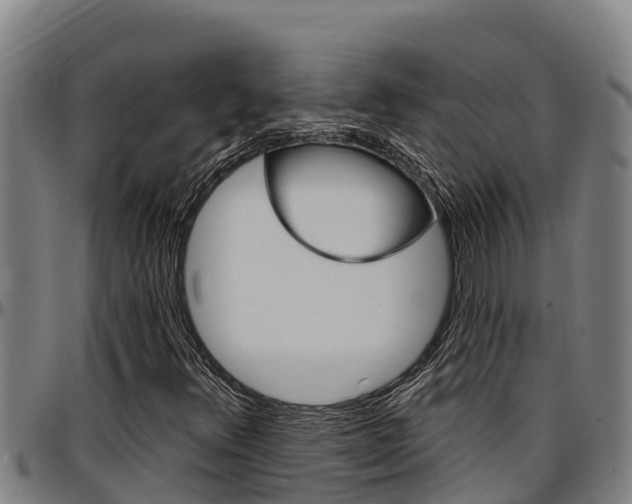 X0000097511348200802220855
