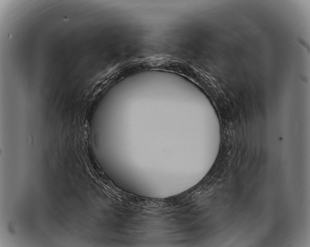 X0000097511349200802220855