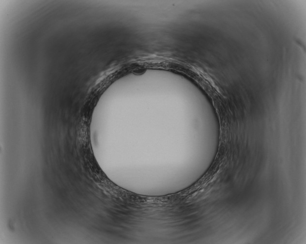 X0000097511350200802220855