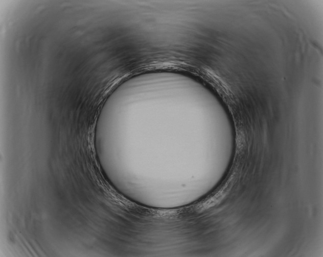 X0000097511353200802220855