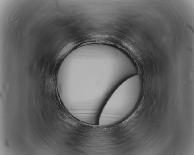 X0000097511354200802220855