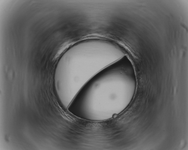 X0000097511355200802220855