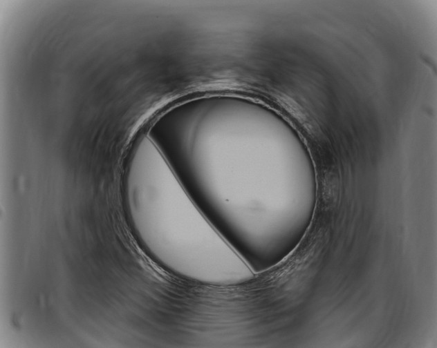 X0000097511356200802220855