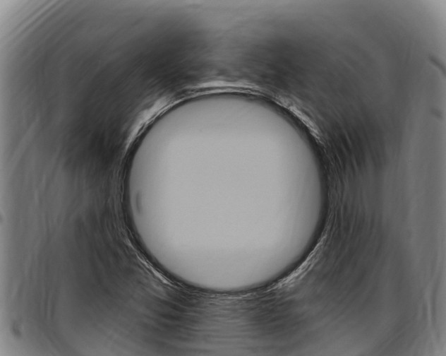 X0000097511357200802220855