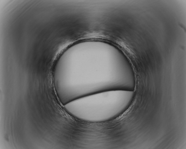 X0000097511358200802220855